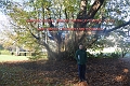 01 11 12_7703_edited-1